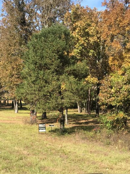 Farm Property in Cass County, Texas