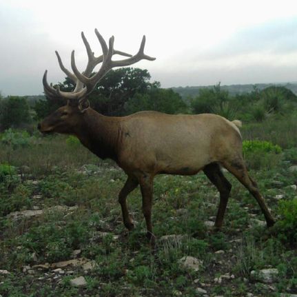 Farm Property in Val Verde County, Texas