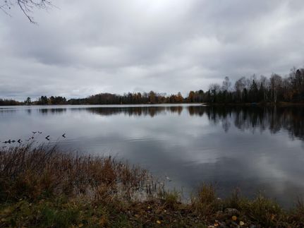 Lakefront Property in Lincoln County, Wisconsin