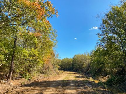 Farm Property in Liberty County, Texas