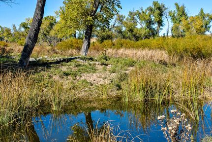Undeveloped Land in Wheeler County, Texas