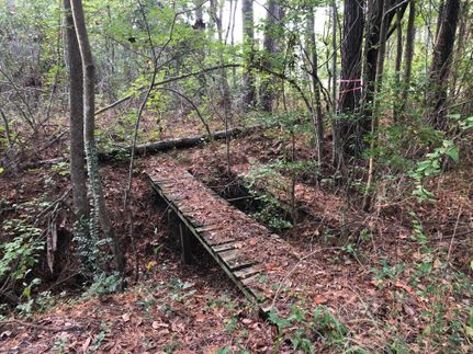Farm Property in Hyde County, North Carolina