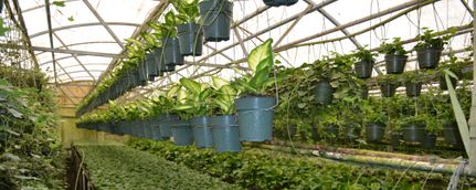Farm Property in Orange County, Florida