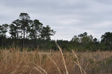 Farm Property in Hernando County, Florida