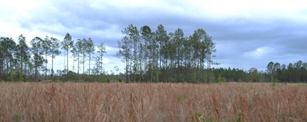 Property in Volusia County, Florida