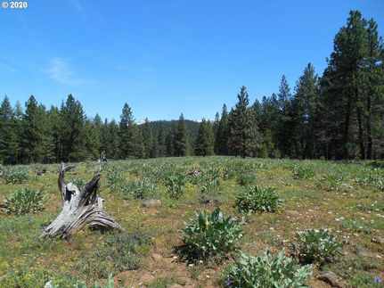 Recreational Property in Baker County, Oregon