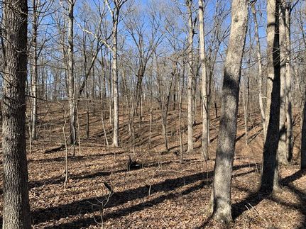 Farm Property in Perry County, Missouri