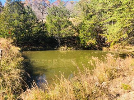 Hunting Land in Hancock County, Tennessee