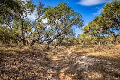 Timberland Property in Bandera County, Texas
