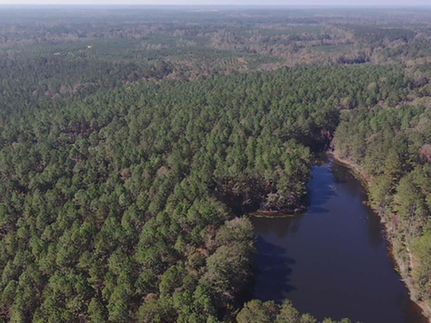Farm Property in Perry County, Mississippi