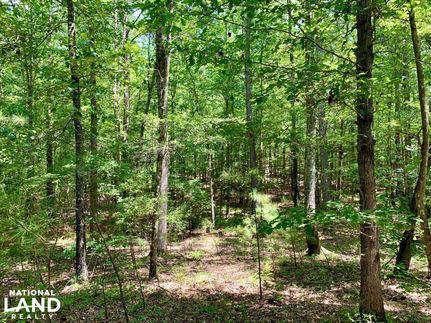 Property in Lamar County, Alabama