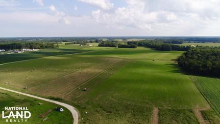 Hunting Land in Wayne County, North Carolina
