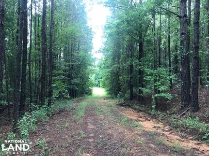 Recreational Property in Hale County, Alabama