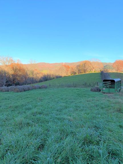Undeveloped Land in Wythe County, Virginia