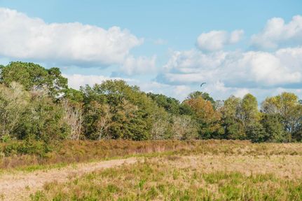 Commercial Property in Screven County, Georgia