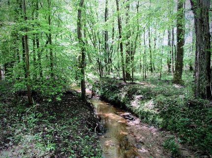 Farm Property in Chester County, South Carolina