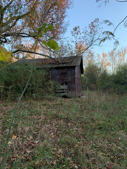 Timberland Property in DeKalb County, Alabama