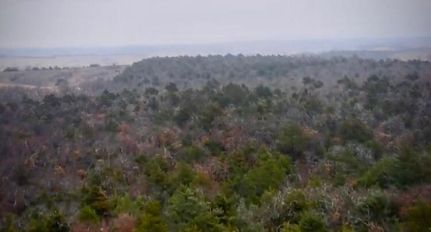 Farm Property in Caddo County, Oklahoma