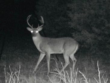 Ranch Property in Eastland County, Texas