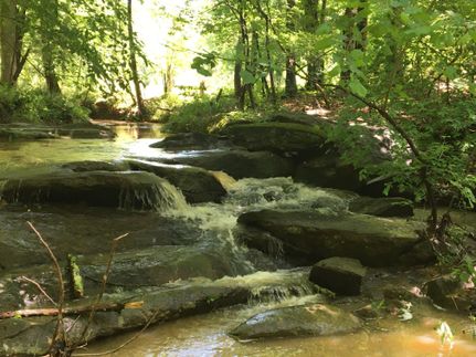 Farm Property in Laurens County, South Carolina