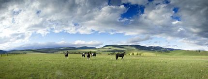 Horse Property in Meagher County, Montana