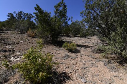 Ranch Property in Yavapai County, Arizona
