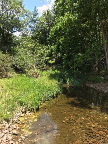 Residential Property in Talladega County, Alabama