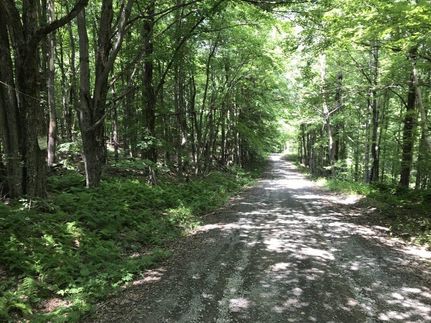Timberland Property in Schoharie County, New York