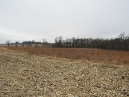 Farm Property in Appanoose County, Iowa
