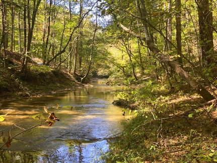 Hunting Land in Gilmer County, Georgia