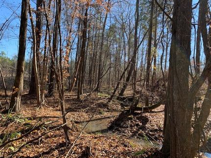 Ranch Property in Saluda County, South Carolina