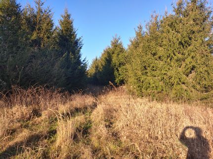 Residential Property in Patrick County, Virginia