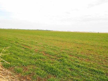 Farm Property in Garfield County, Oklahoma
