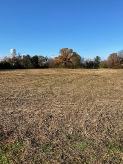 Commercial Property in Hardeman County, Tennessee