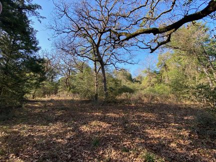 Farm Property in Leon County, Texas