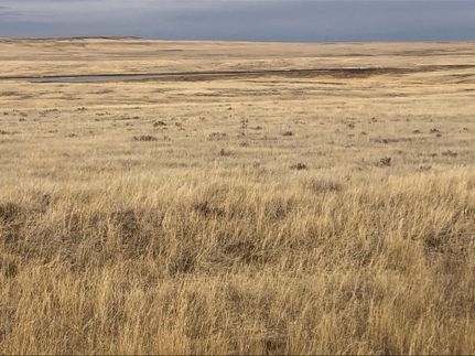 Ranch Property in Butte County, South Dakota