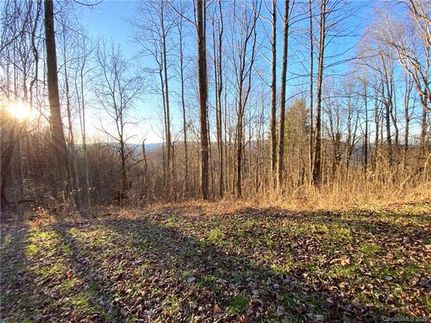 Ranch Property in Madison County, North Carolina