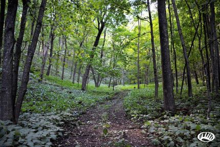 Property in Dunn County, Wisconsin