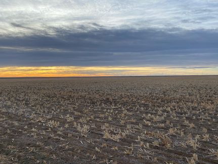 Farm Property in Kit Carson County, Colorado