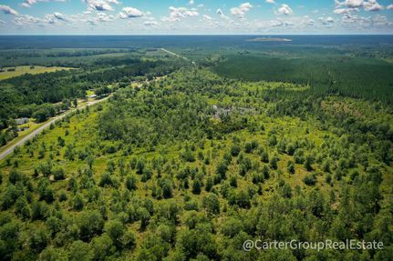 Timberland Property in Wayne County, Georgia