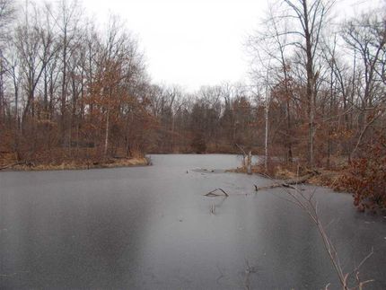 Farm Property in Vermillion County, Indiana