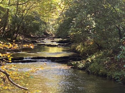 Ranch Property in Gilmer County, Georgia