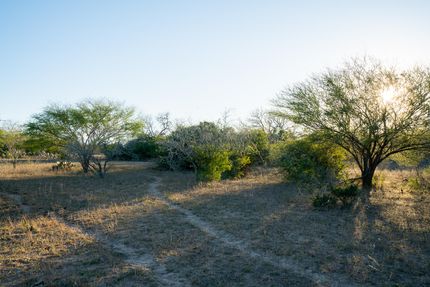 Farm Property in Bee County, Texas
