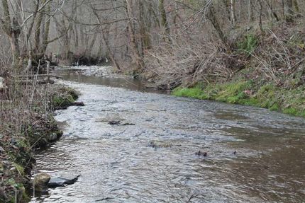 Property in Macon County, Tennessee