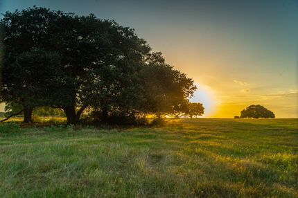 Farm Property in Fayette County, Texas