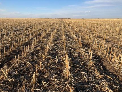Farm Property in Nuckolls County, Nebraska