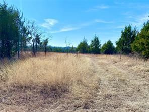 Farm Property in Fannin County, Texas