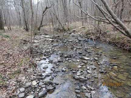 Hunting Land in Jefferson County, Alabama