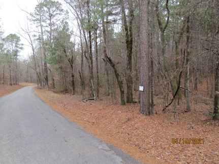 Timberland Property in Jefferson County, Alabama