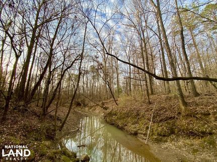 Timberland Property in Wilcox County, Alabama